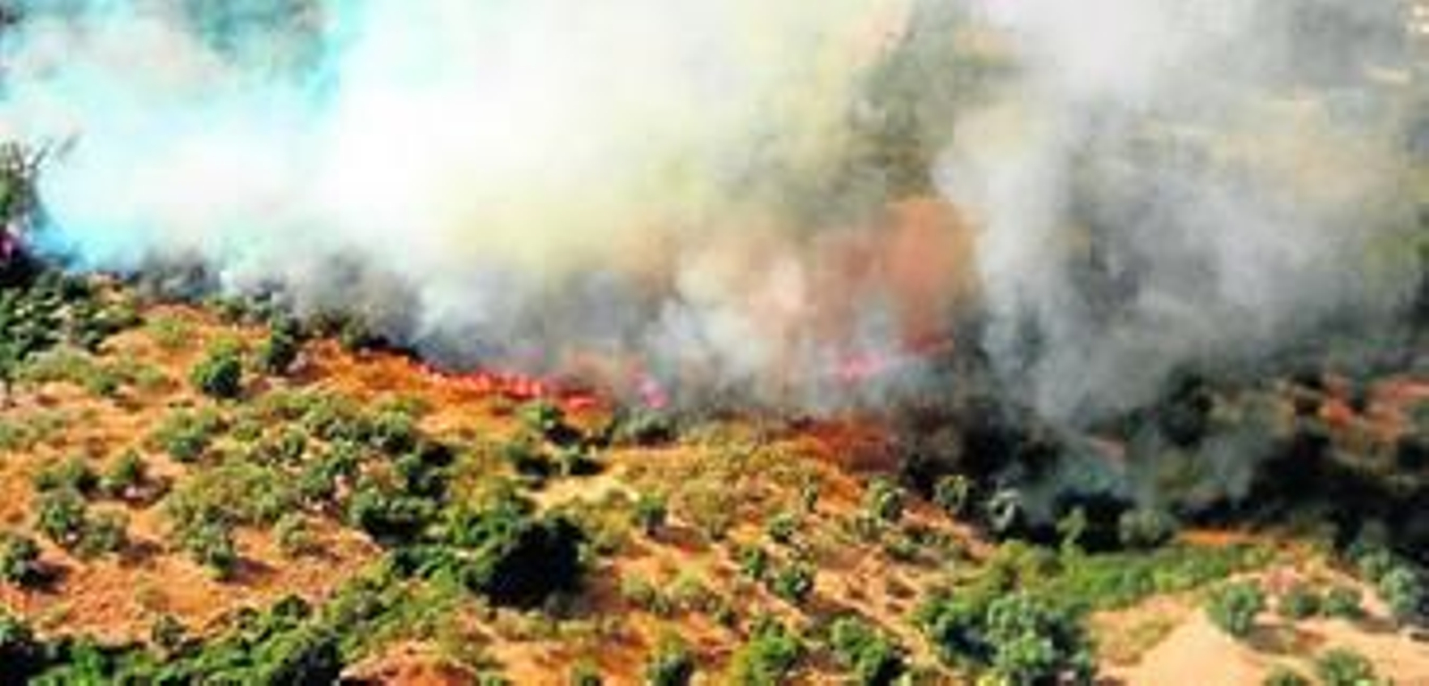 El paraje de Aguas Blancas integra una urbanización y zonas cultivadas.