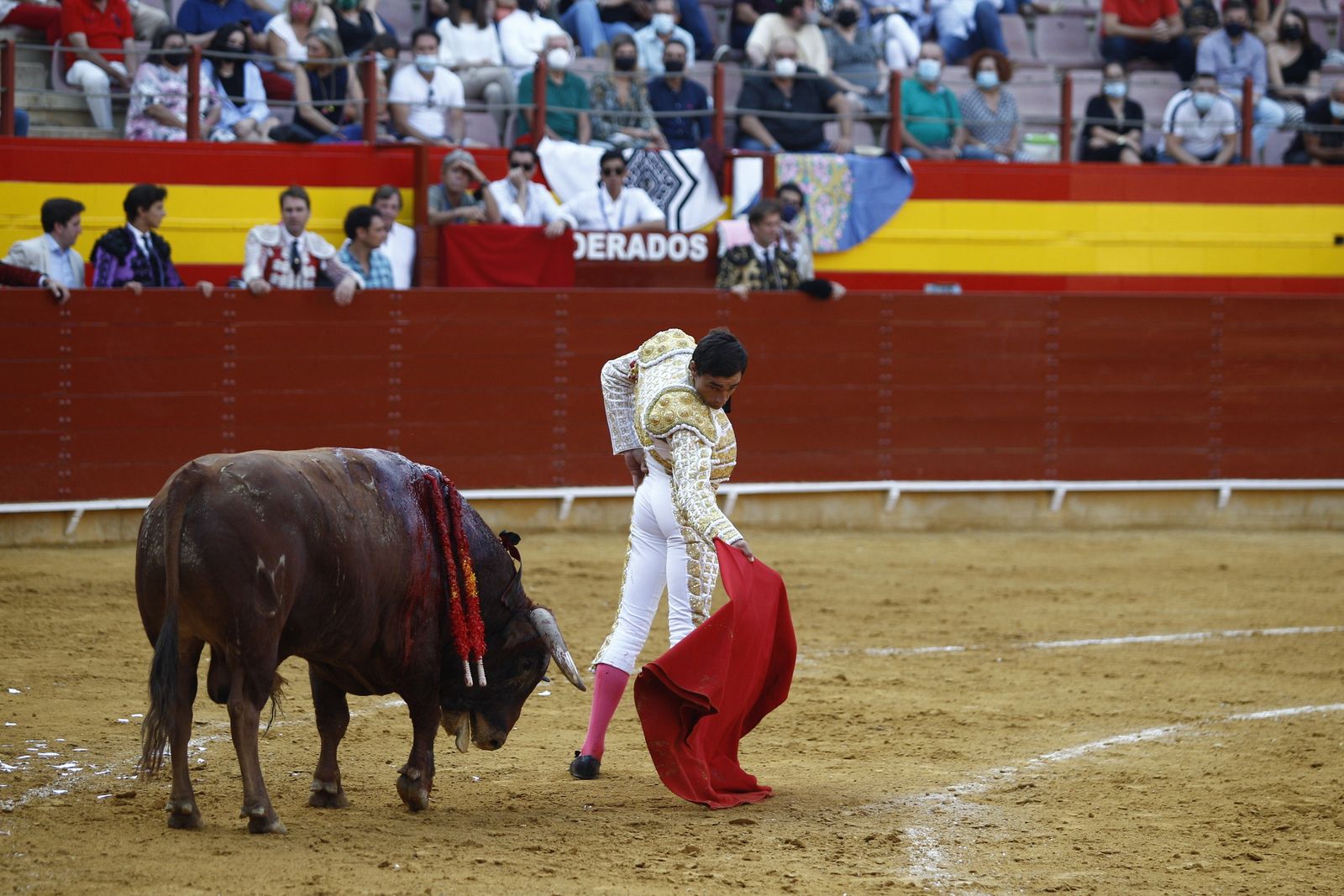 Fotogalería corrida de toros. Cayetano Rivera, Paco Ureña y Roca Rey. Roquetas de Mar.