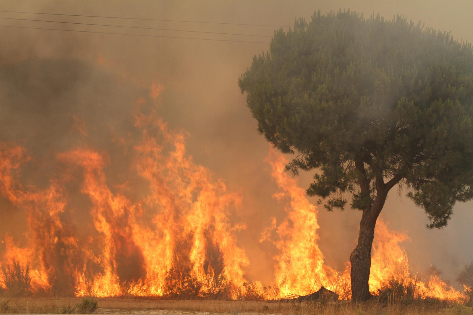 Las imágenes del incendio en Moguer y Mazagón