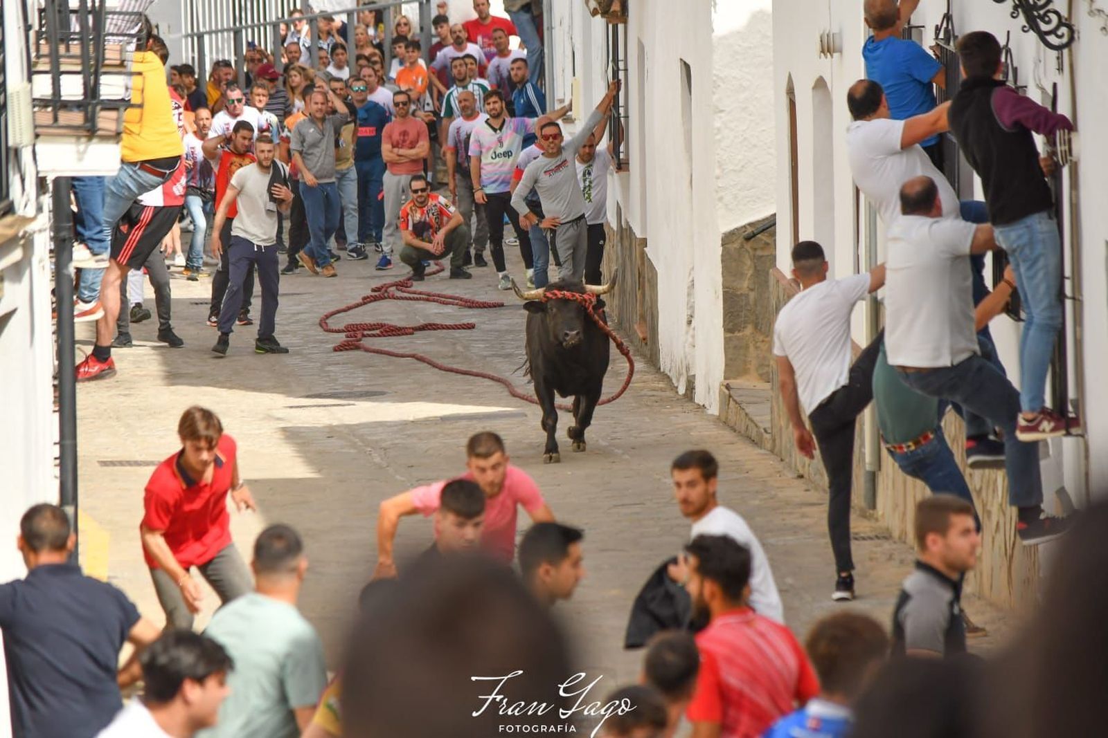 La suelta de un toro en Benamahoma este Domingo de Resurrección.
