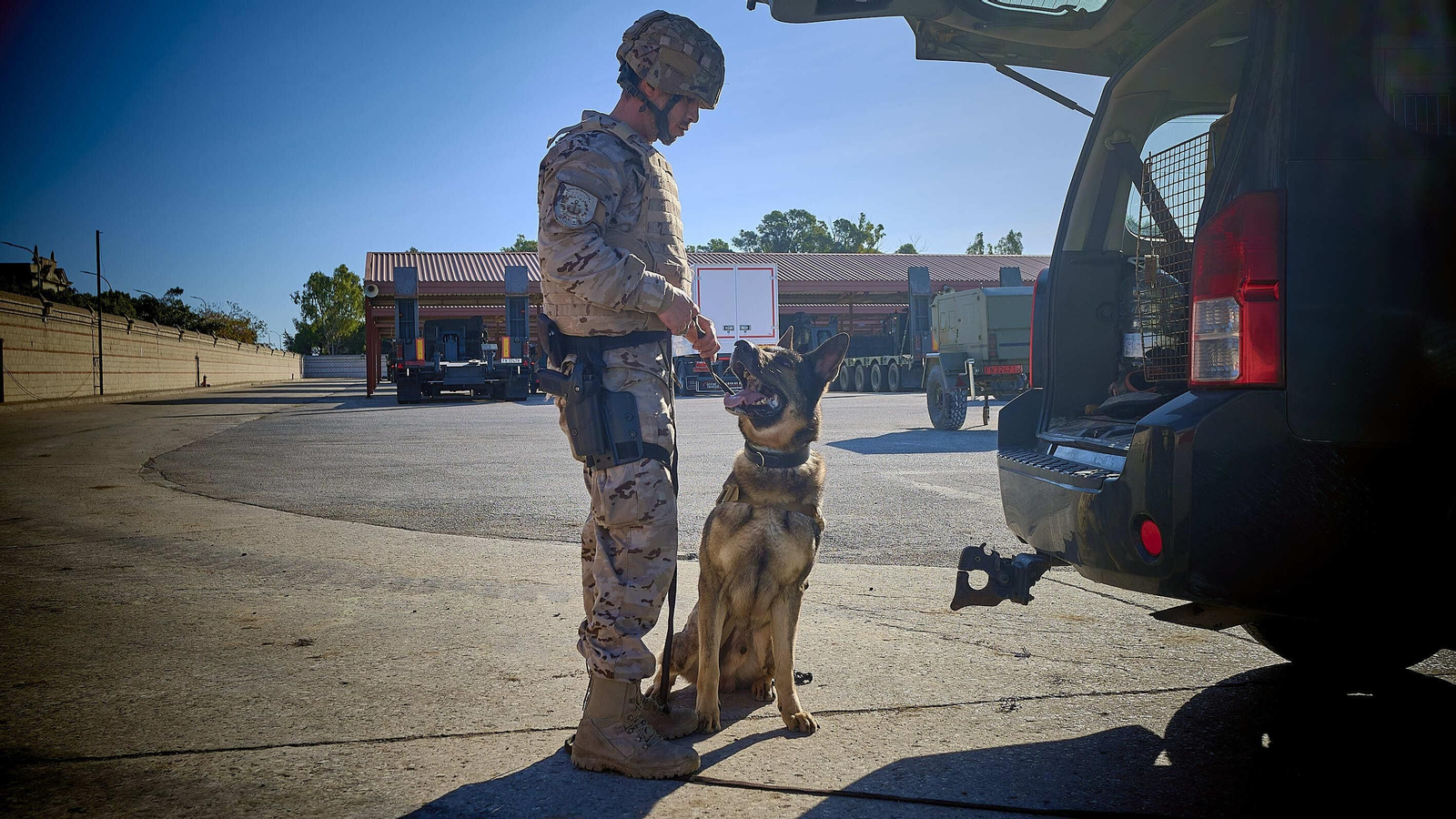 Maniobras Canex con unidades caninas de las Fuerzas Armadas, Policía y Guardia Civil