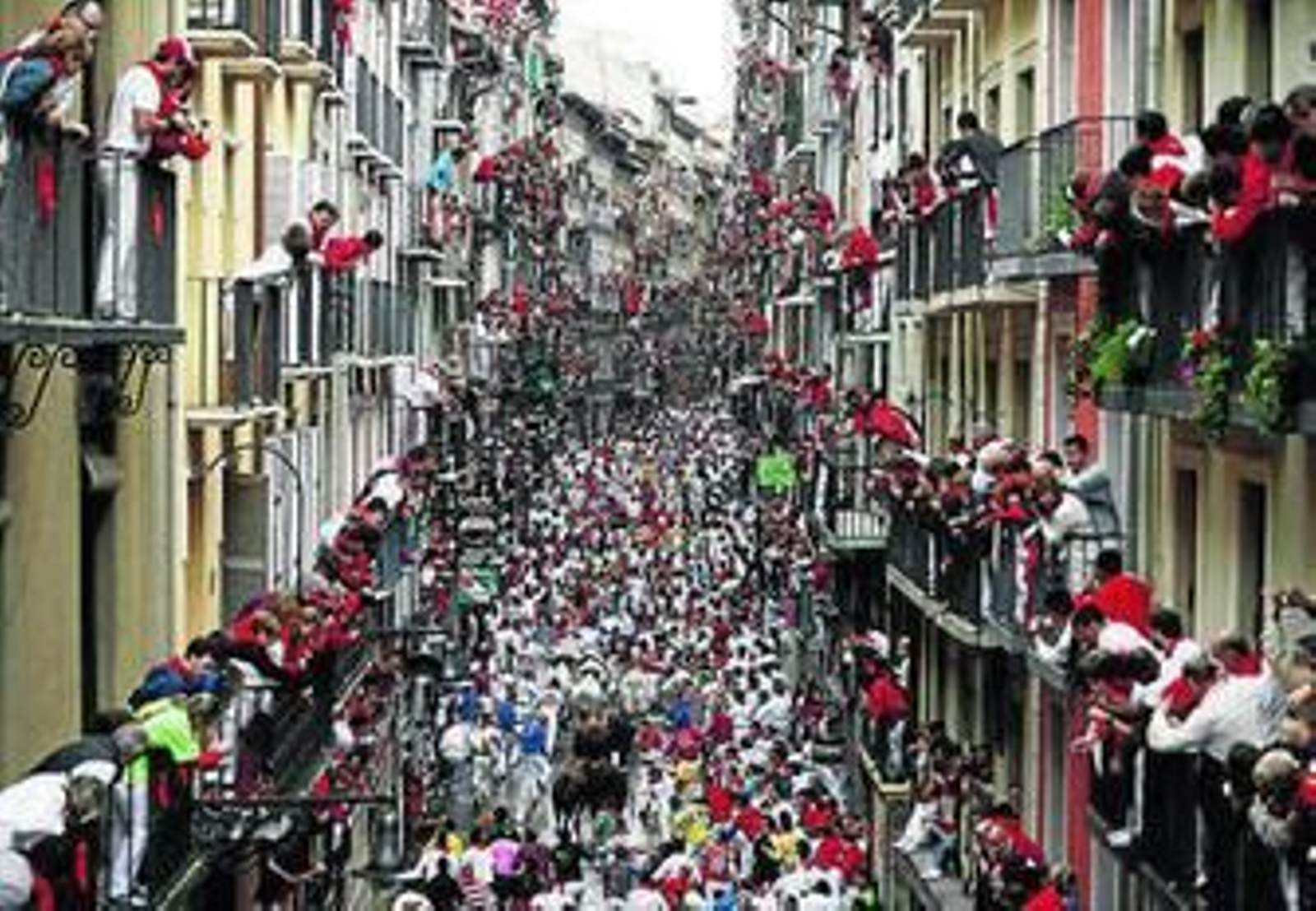 Los toros se abren camino en una Estafeta abarrotada de corredores.