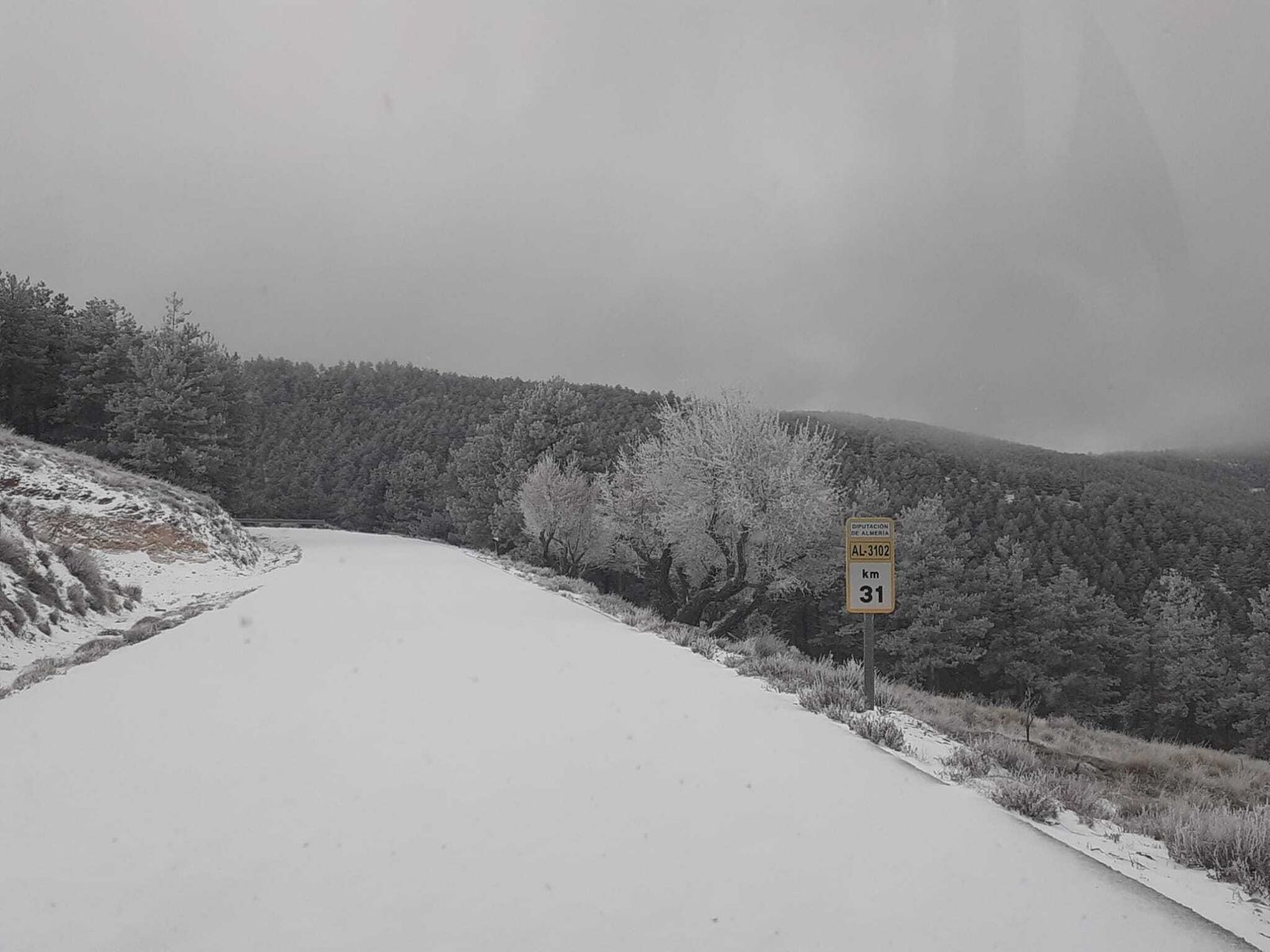 La AL-3102 nevada esta mañana