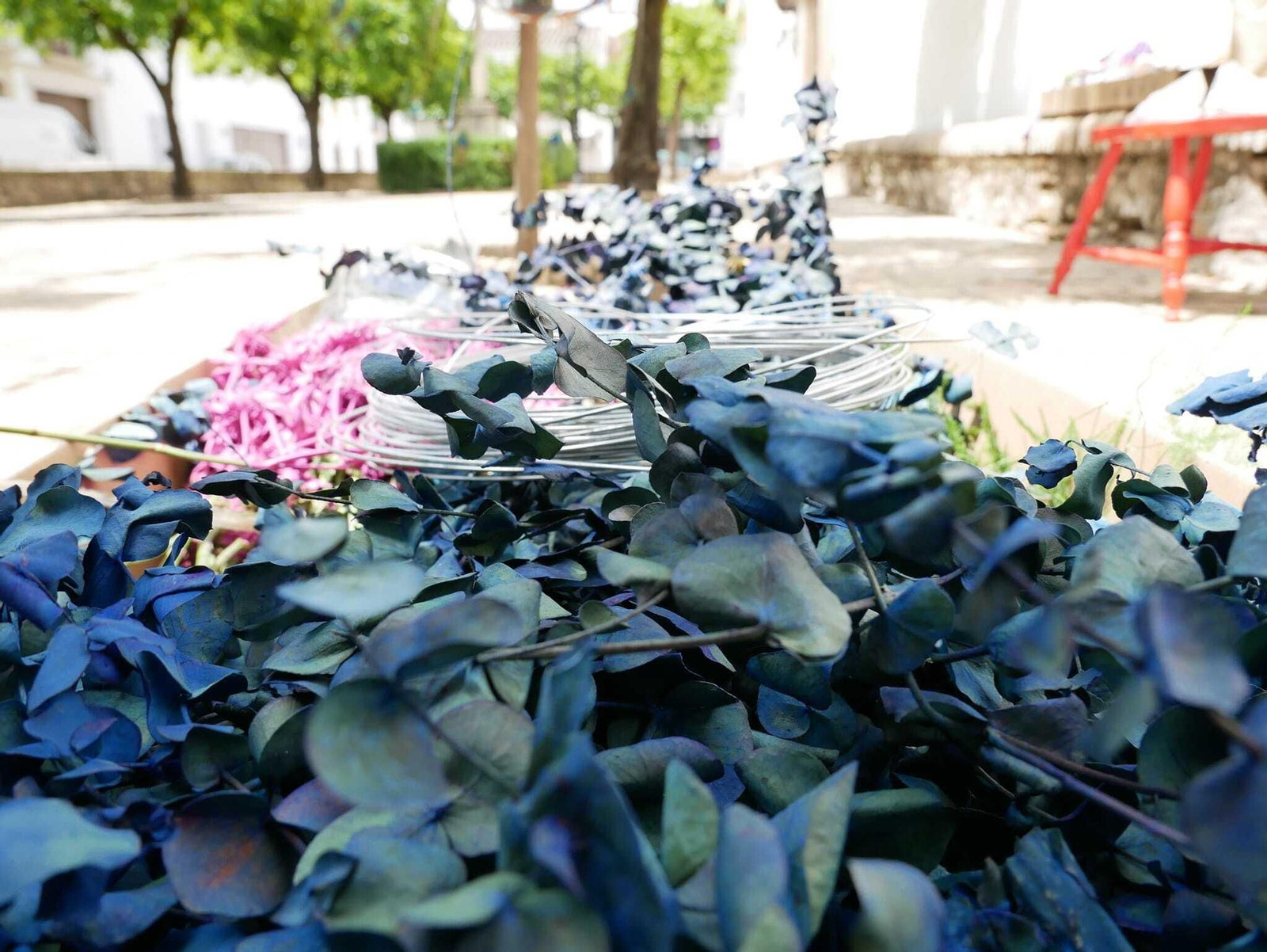 Un paseo en imágenes por las Calles en Flor de Cañete de las Torres