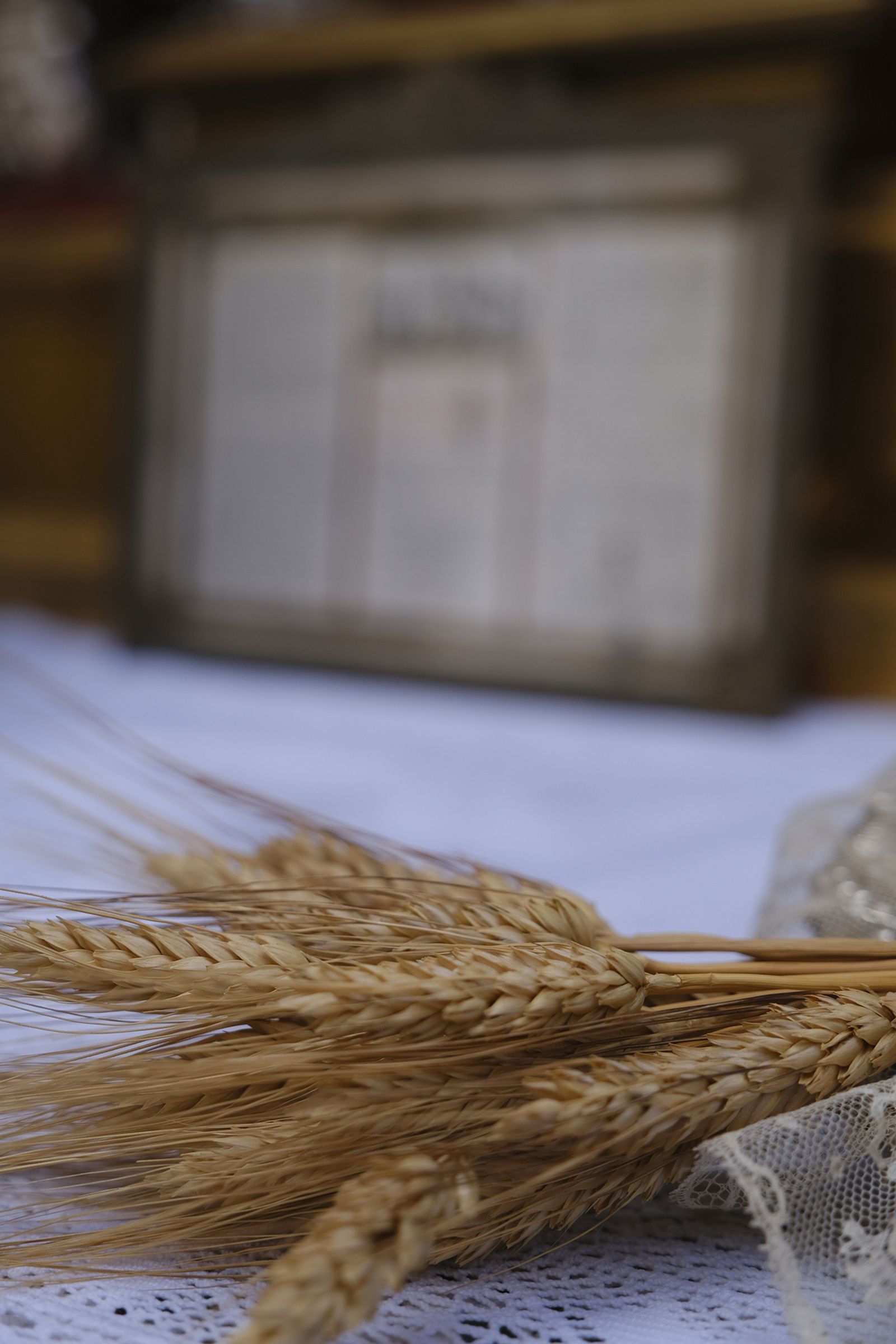 Fotogalería Corpus Christi. Almería