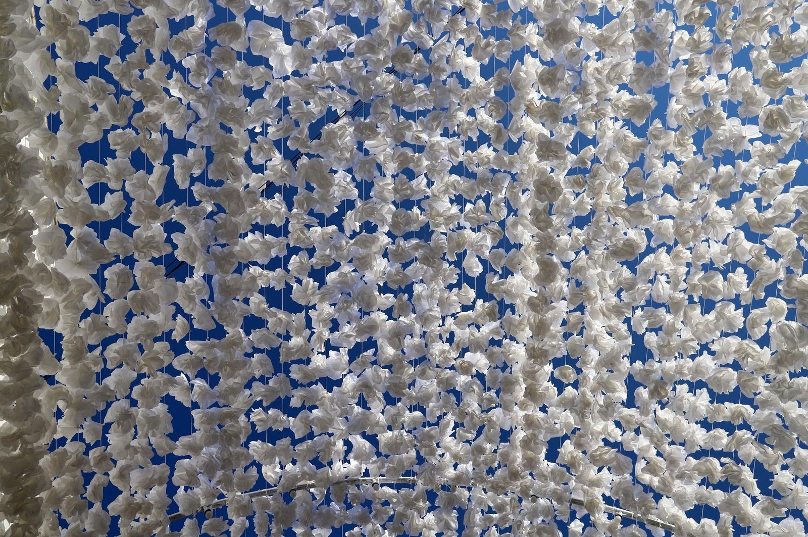 Imágenes de la Virgen del Rocío y sus nuevas andas