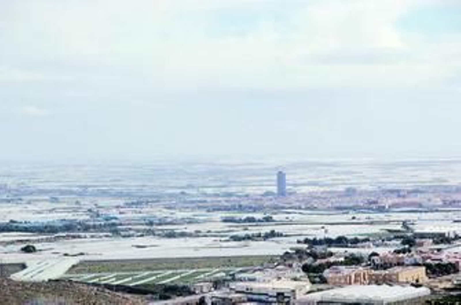 El cuerpo sin vida de la joven apareció en una acequia en el paraje Hoyo Peralta, a unos tres kilómetros de El Ejido.