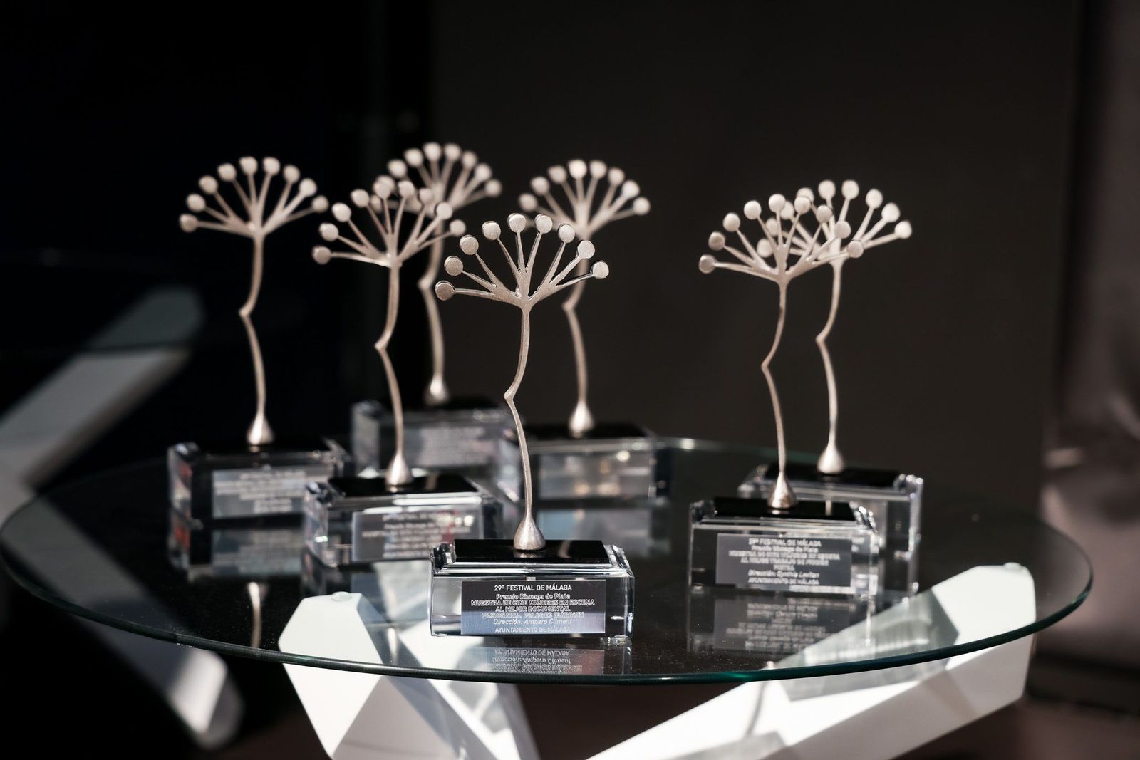 'Llamarse Olimpia', ganadora del Primer Premio del ciclo Afirmando los Derechos de las Mujeres