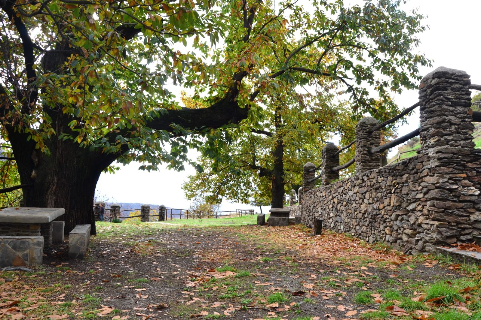 Una imagen de Lanjaron