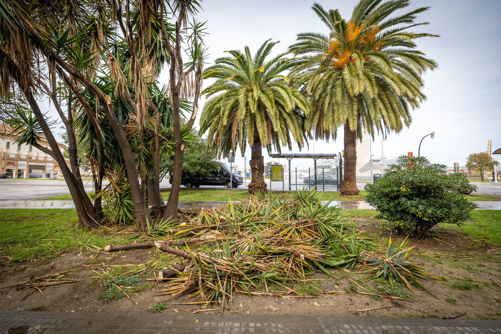 Los daños aún visibles del temporal Bernard en Cádiz