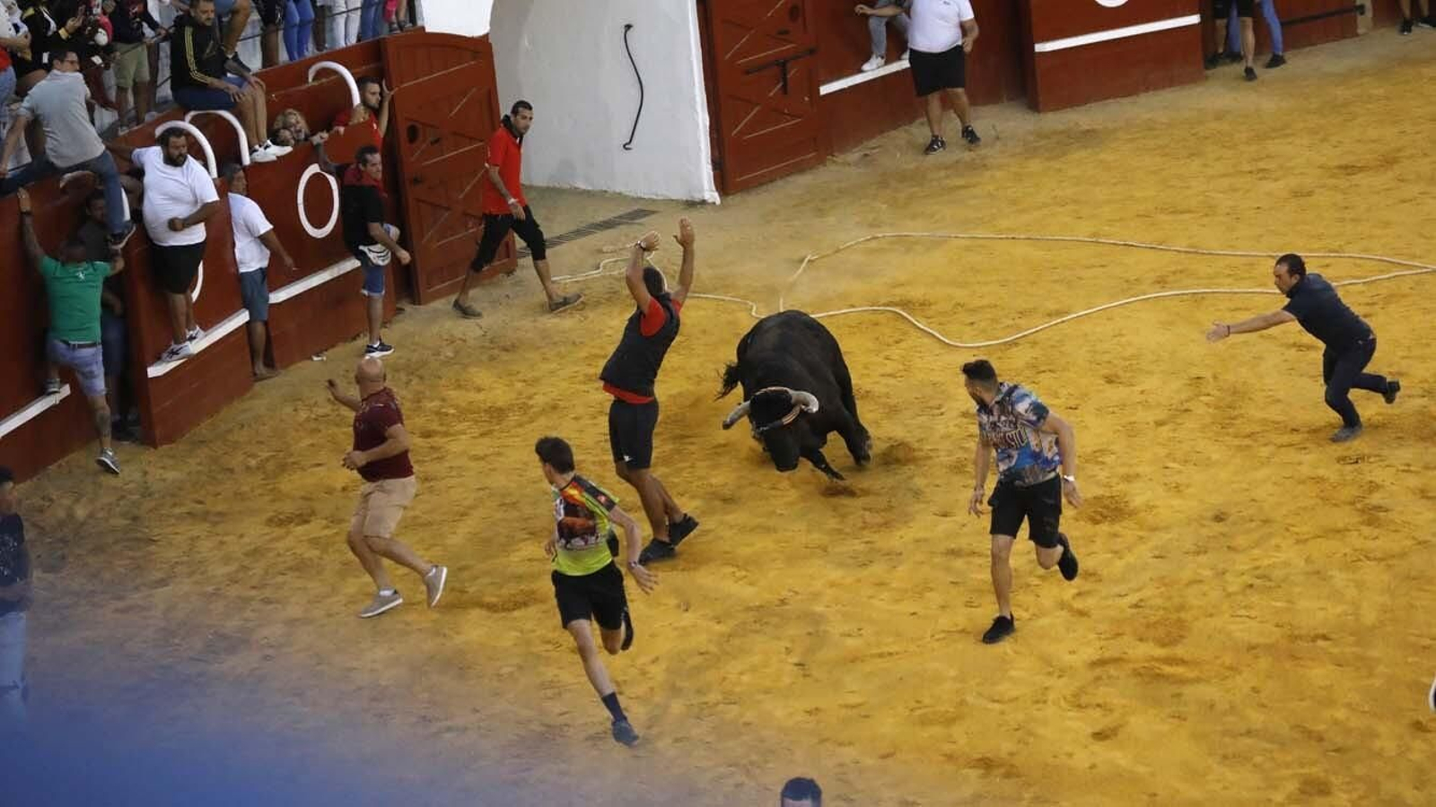 Las fotos del Toro del Aguardiente de San Roque