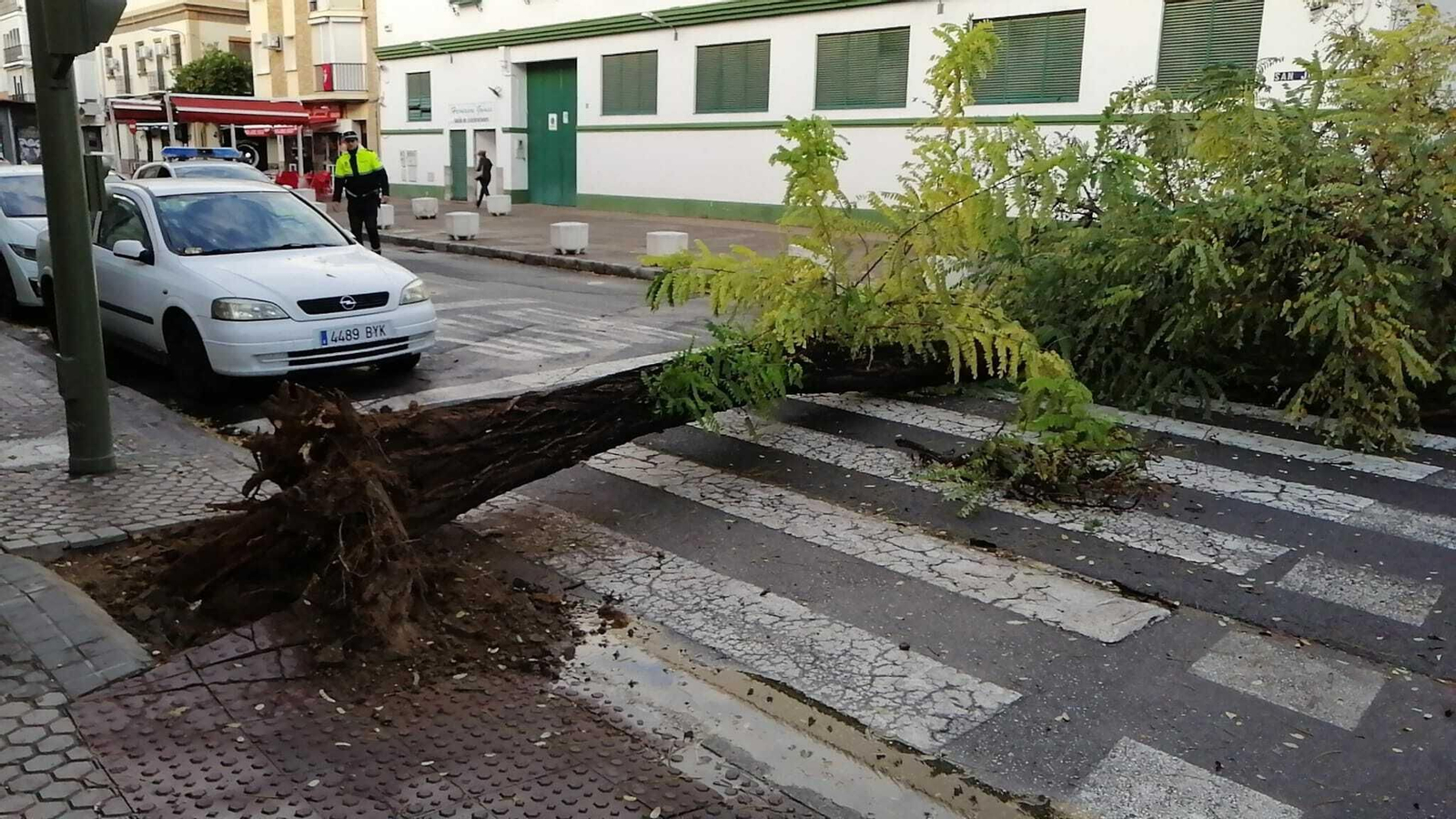 Las imágenes del temporal que azota Sevilla