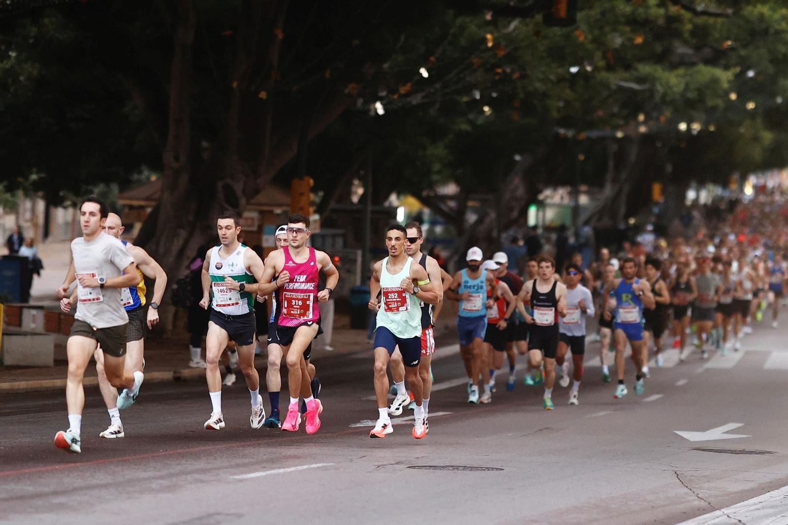 Las fotos de la Maratón de Málaga 2025