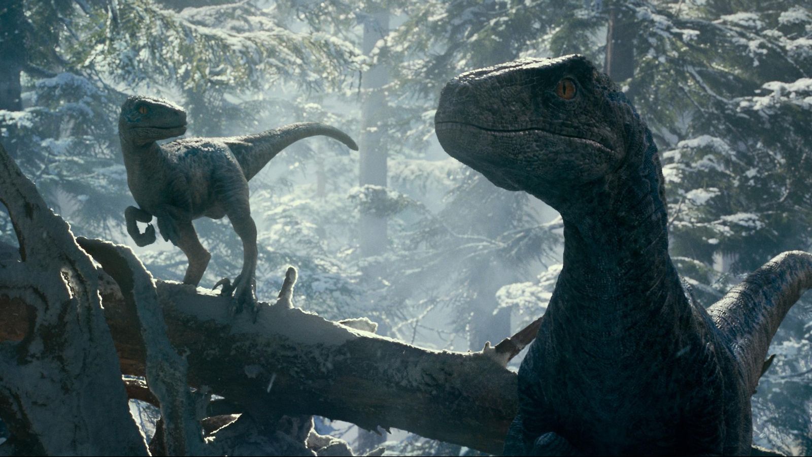 'Jurassic World Dominion' 'Jurassic World Dominion'