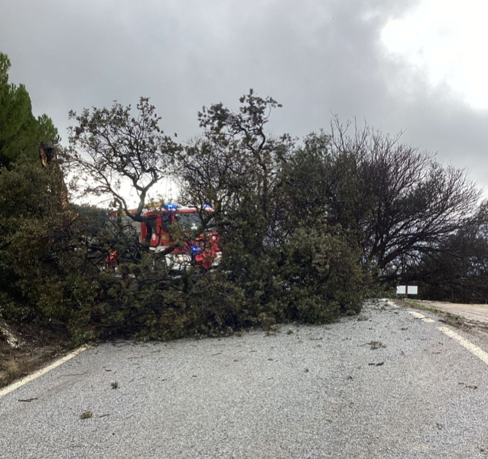 El paso de la borrasca Joseph por la provincia de Granada, en imágenes