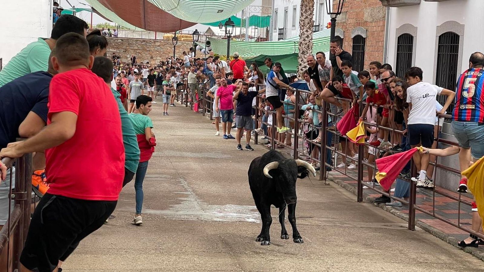 El encierro taurino de Dos Torres por San Roque, en imágenes