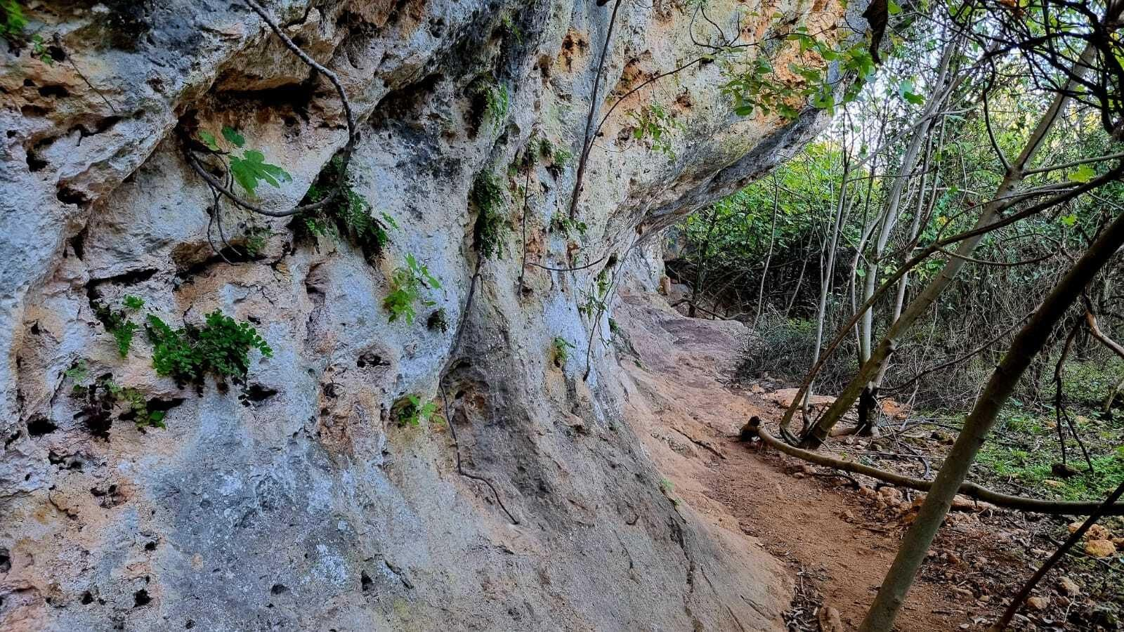 Un paseo en fotografías por el Bosque Encantado de Hornachuelos