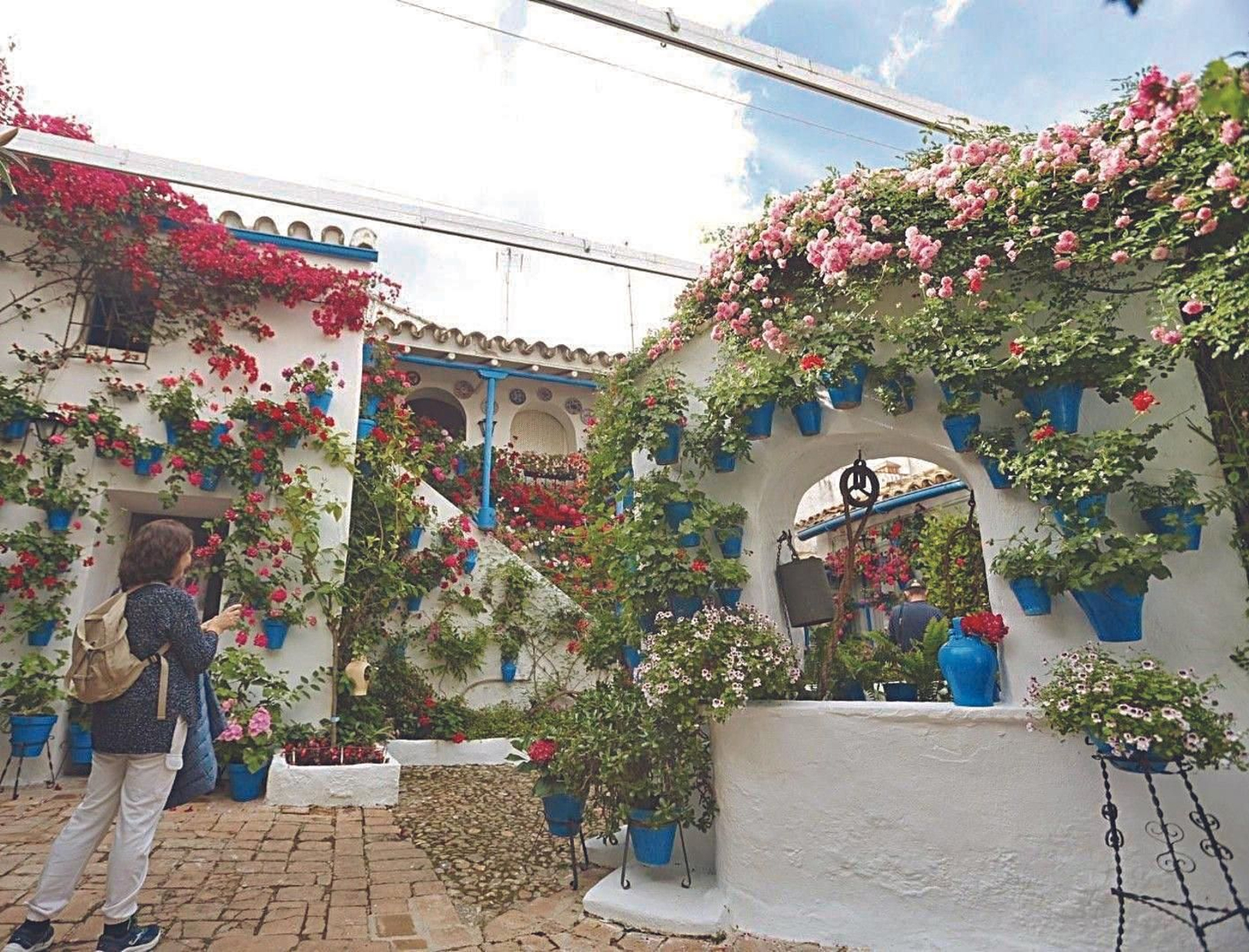 Guía de los Patios: Trueque, 4