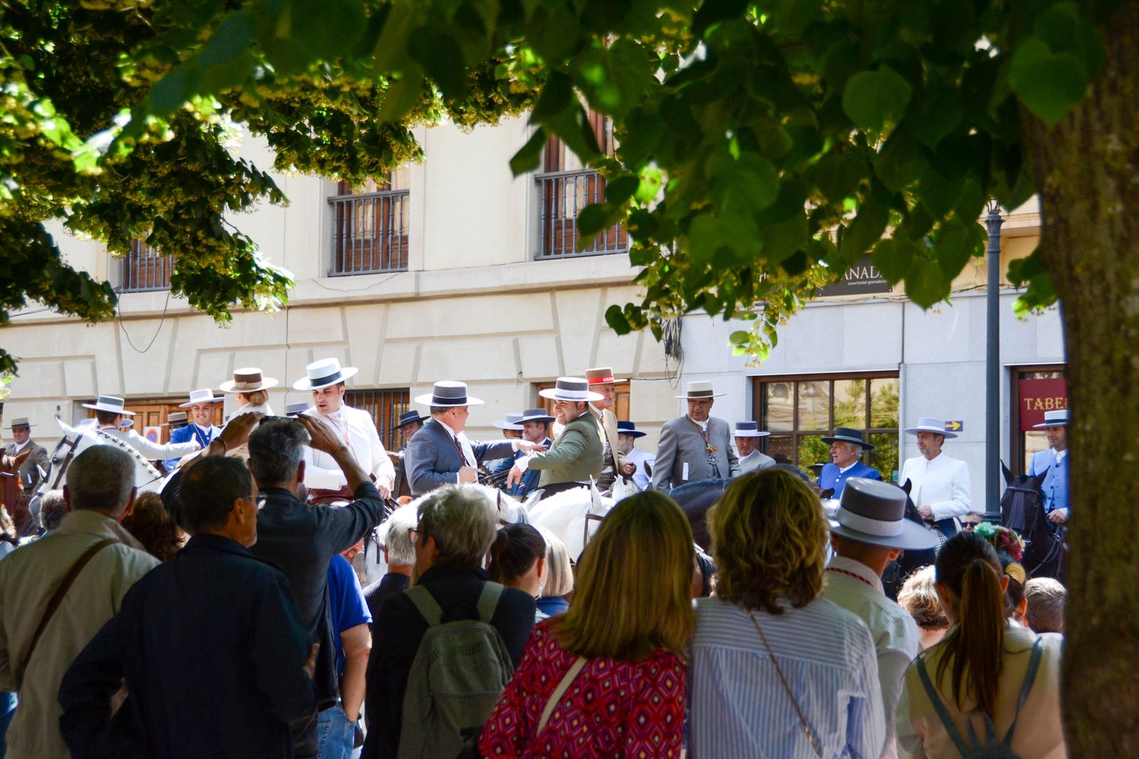 La salida de la Hermandad del Rocío de Granada, en imágenes