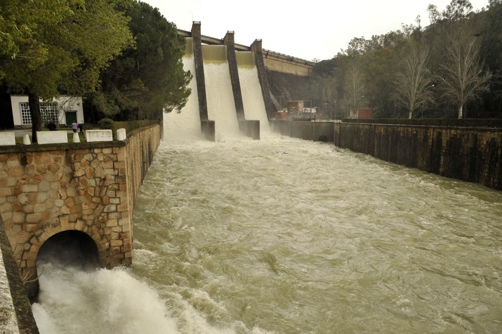 Pantano de los Hurones, en Paterna de la Rivera.