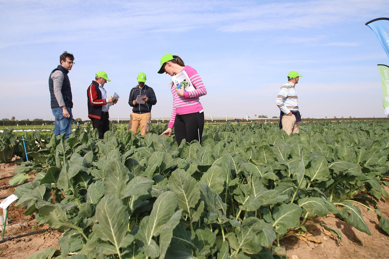 Fotogalería de las jornadas de puertas abiertas de Rijk Zwaan en Cartagena