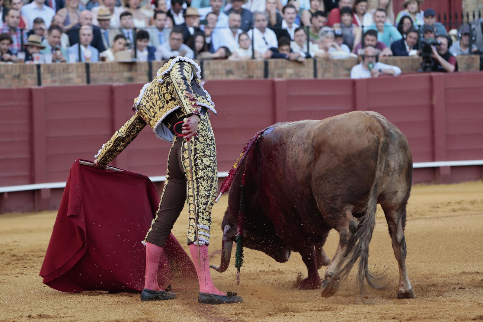 Las imágenes del festejo