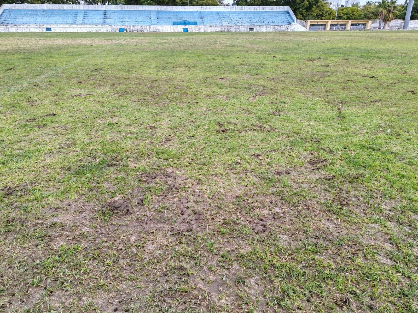 Estado del césped del Pedro Garrido este jueves 4 de diciembre.