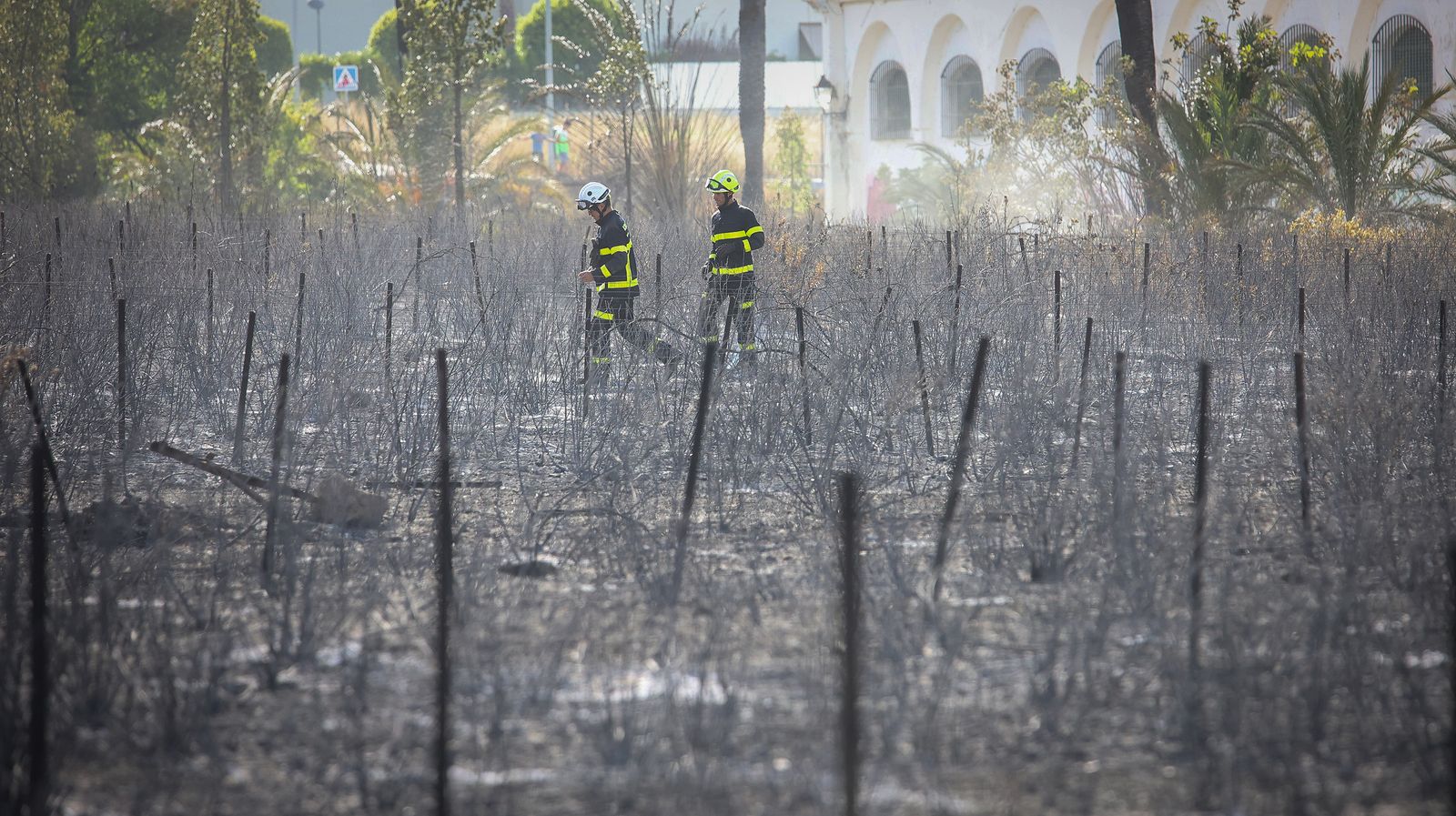 Incendio de pastos en la antigua bodega de Croft