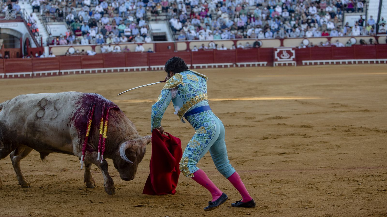 La corrida de toros en el Puerto de Santa María, con Morante de Puebla en solitario, en imágenes.