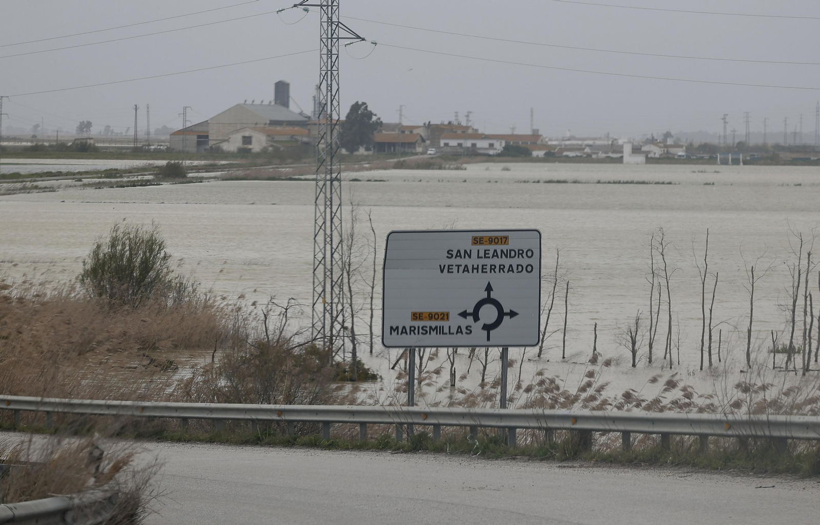 Las imágenes de las inundaciones en Los Palacios y las Cabezas de San Juan