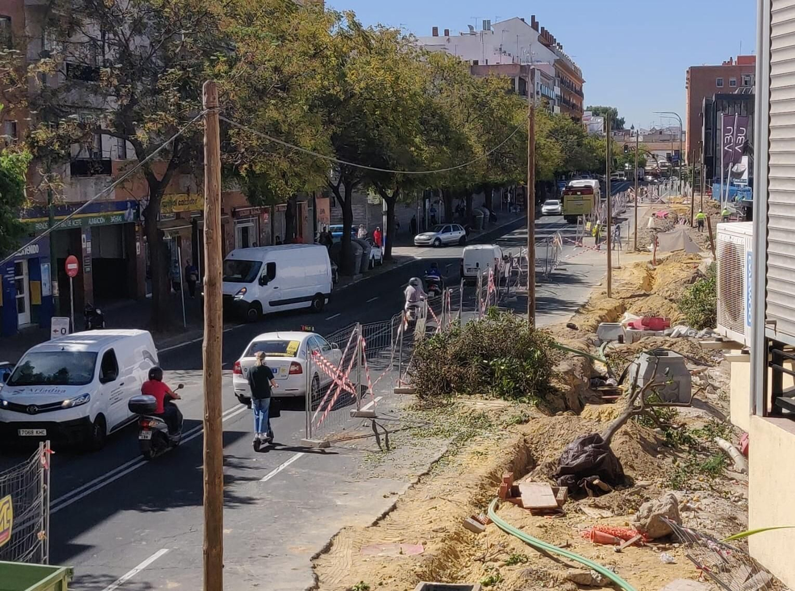 Arboricidio de 25 naranjos en la Carretera de Carmona por la promoción de viviendas en la Fábrica de Vidrio Arboricidio de 25 naranjos en la Carretera de Carmona por la promoción de viviendas en la Fábrica de Vidrio