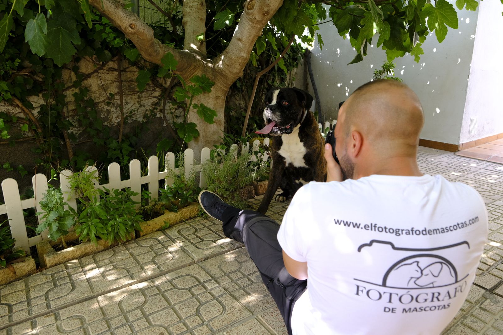 Álbum de las mascotas fotografiadas por 'El fotógrafo de mascotas'