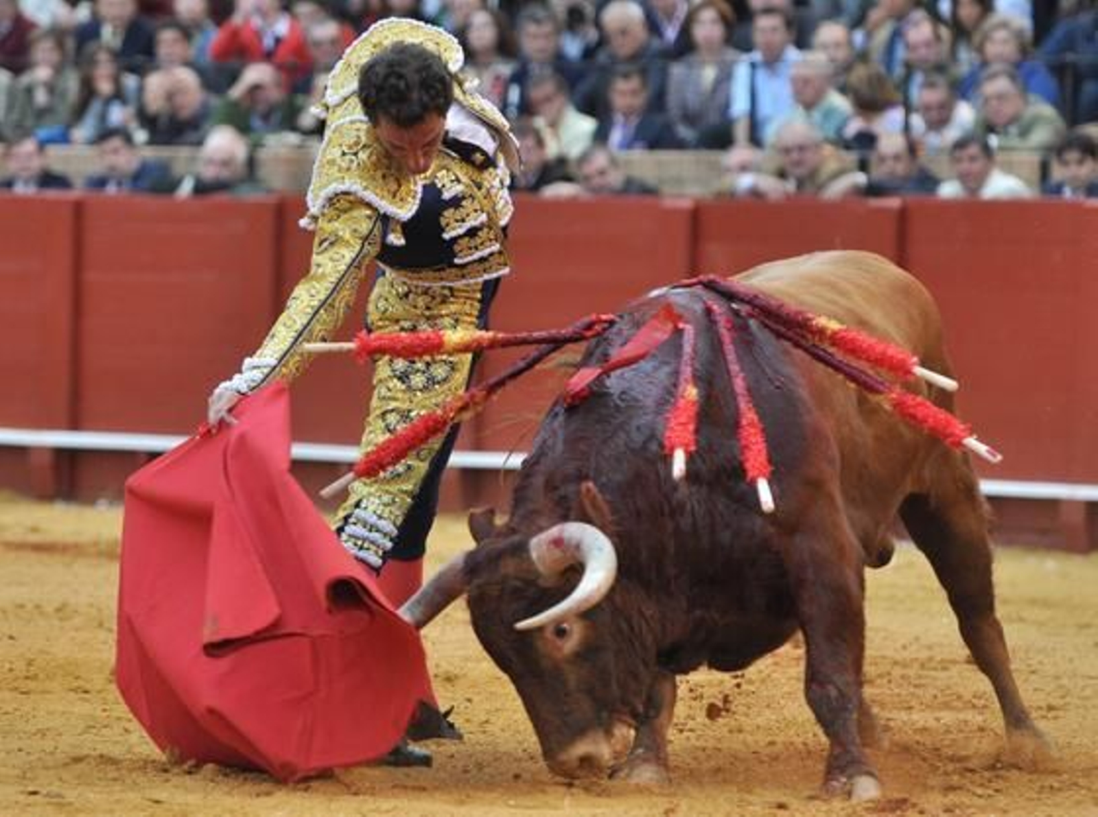 El de Mairena del Aljarafe consiguió una buena tanda con la derecha.

Foto: Manuel Gómez