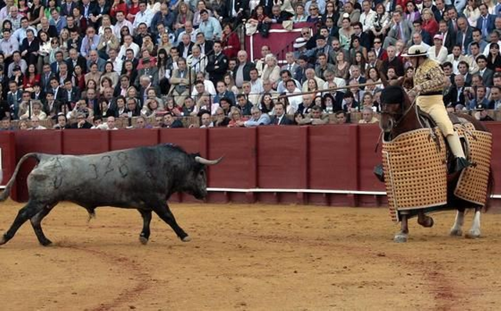 Foto: Juan Carlos Muñoz