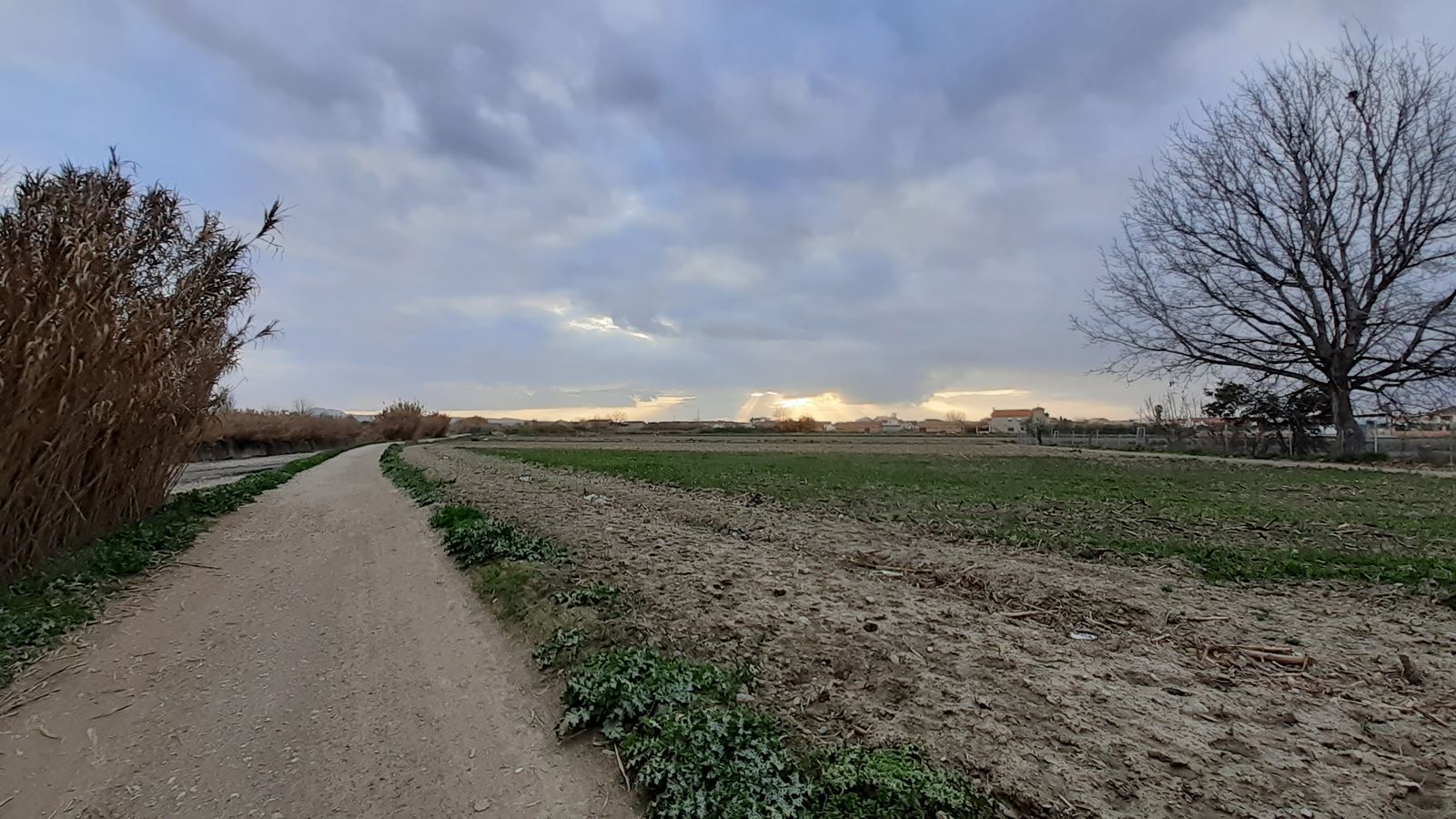 Imagen de archivo de la Vega de Granada y del Río Dílar