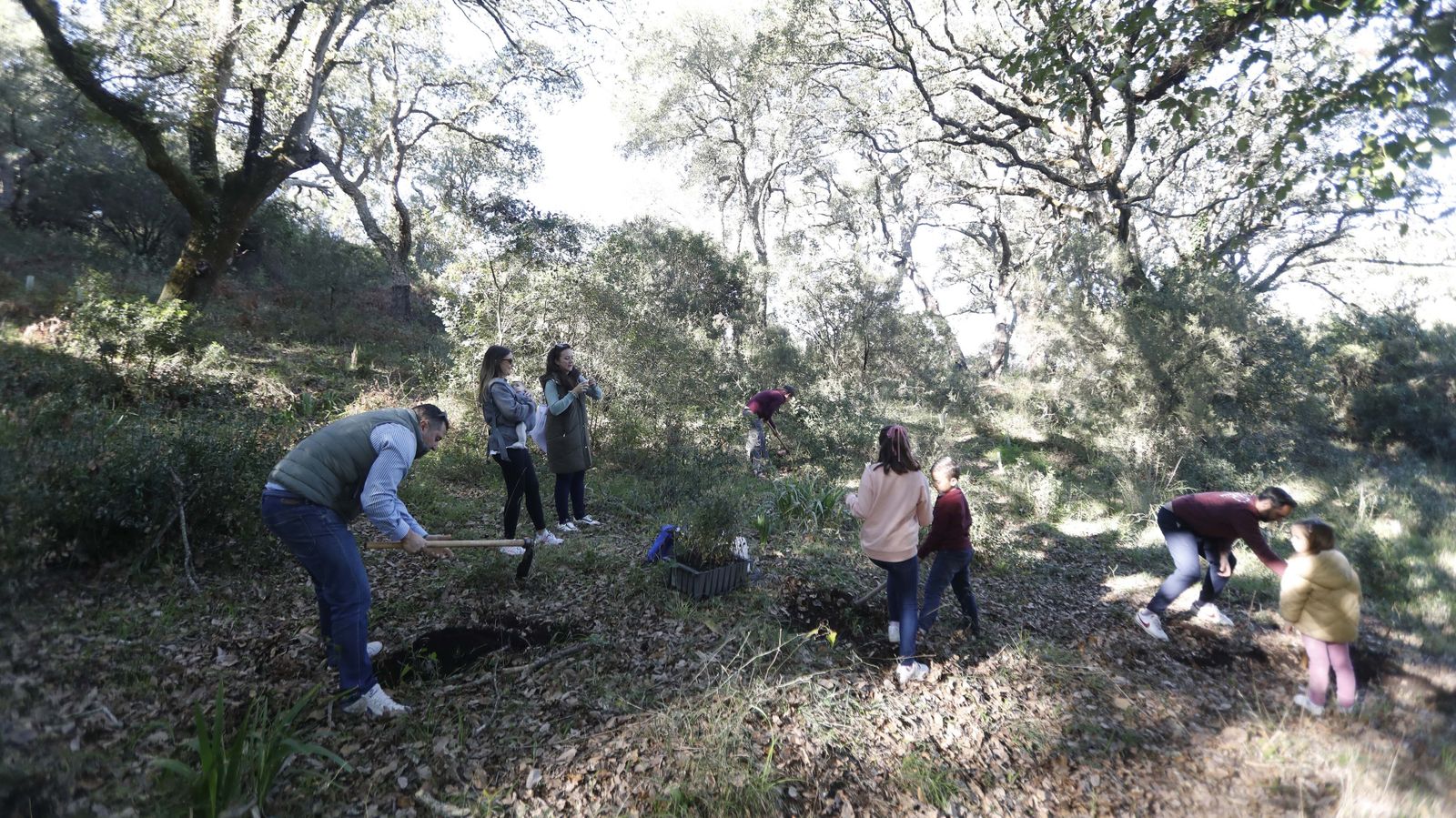 Jornada de reforestación en El Palancar por trabajadores de Acerinox, en imágenes