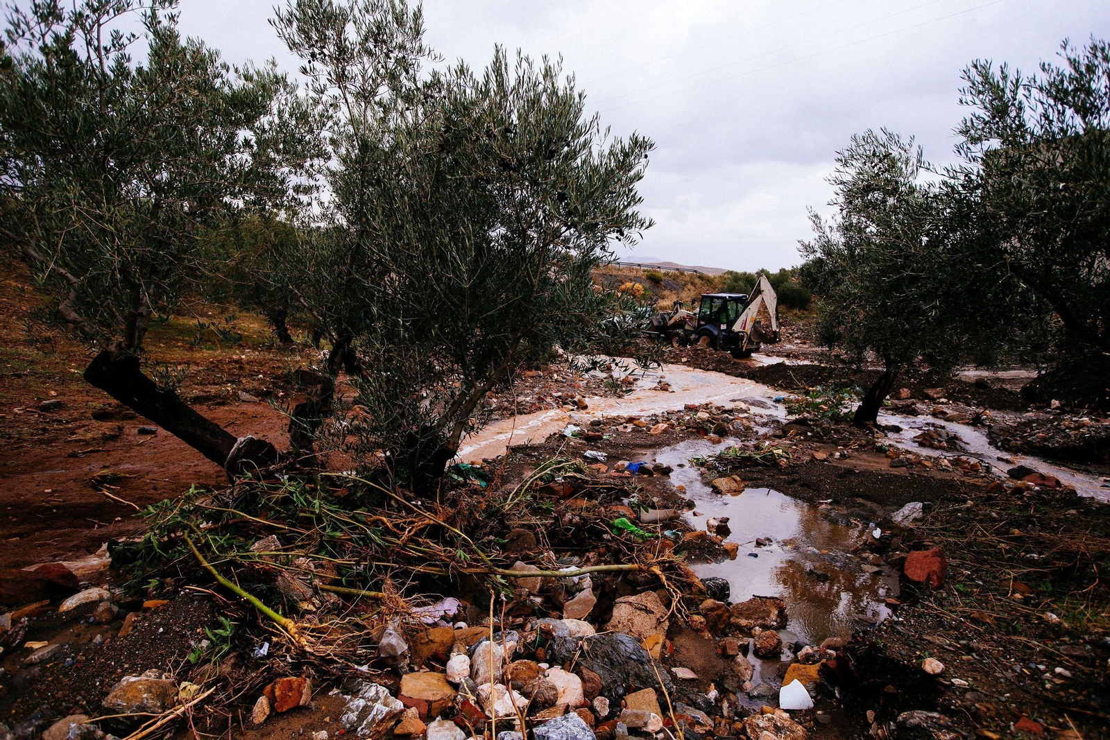 Daños ocasionados por las lluvias en Ardales, en el entorno del río Turón.