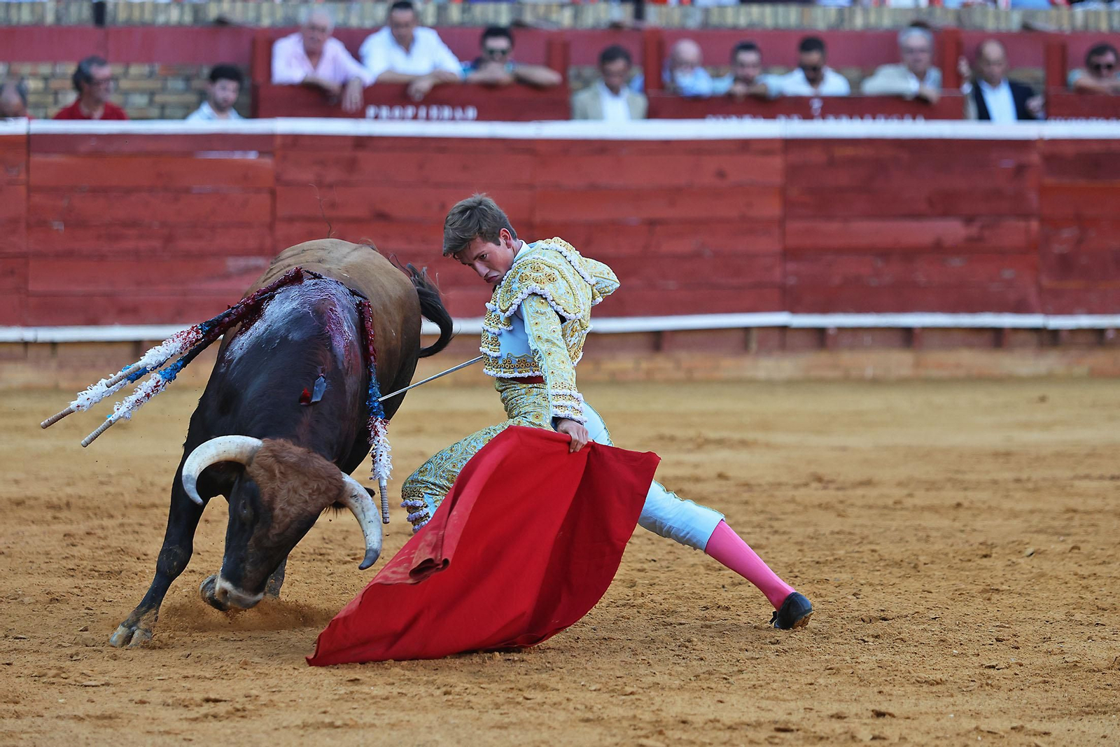 Toros La Merced 2024 Novillada con picadores(