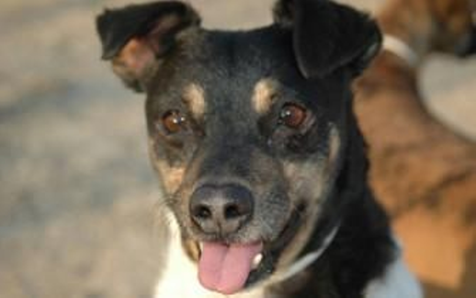 Cuco, un bodeguero muy especial