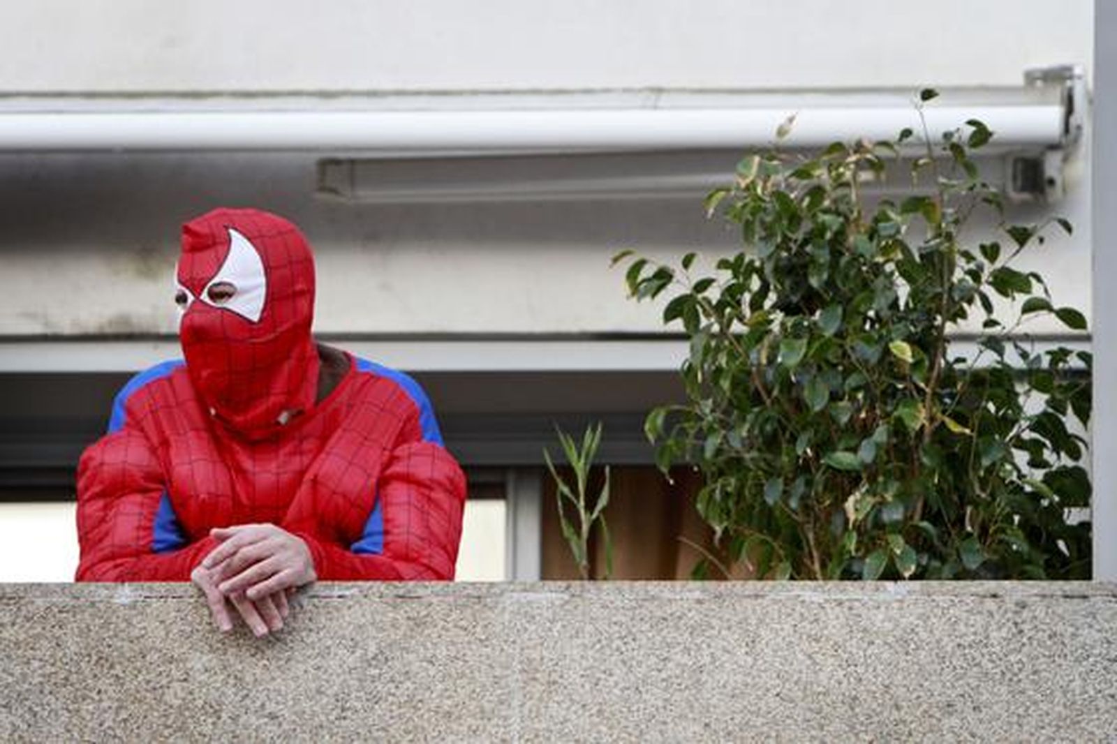 Foto: Lourdes de Vicente