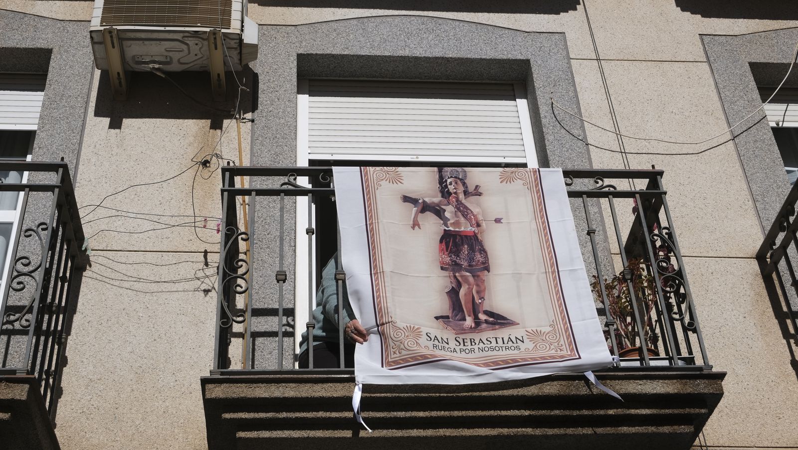 Imágenes del Certamen de Mostos de Fiñana