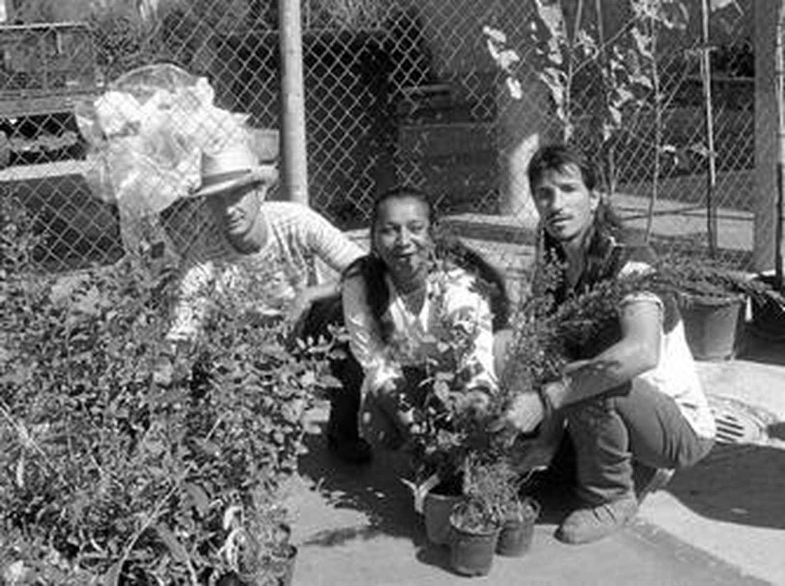 Alumnos del curso de jardinería de la cárcel de Albolote.