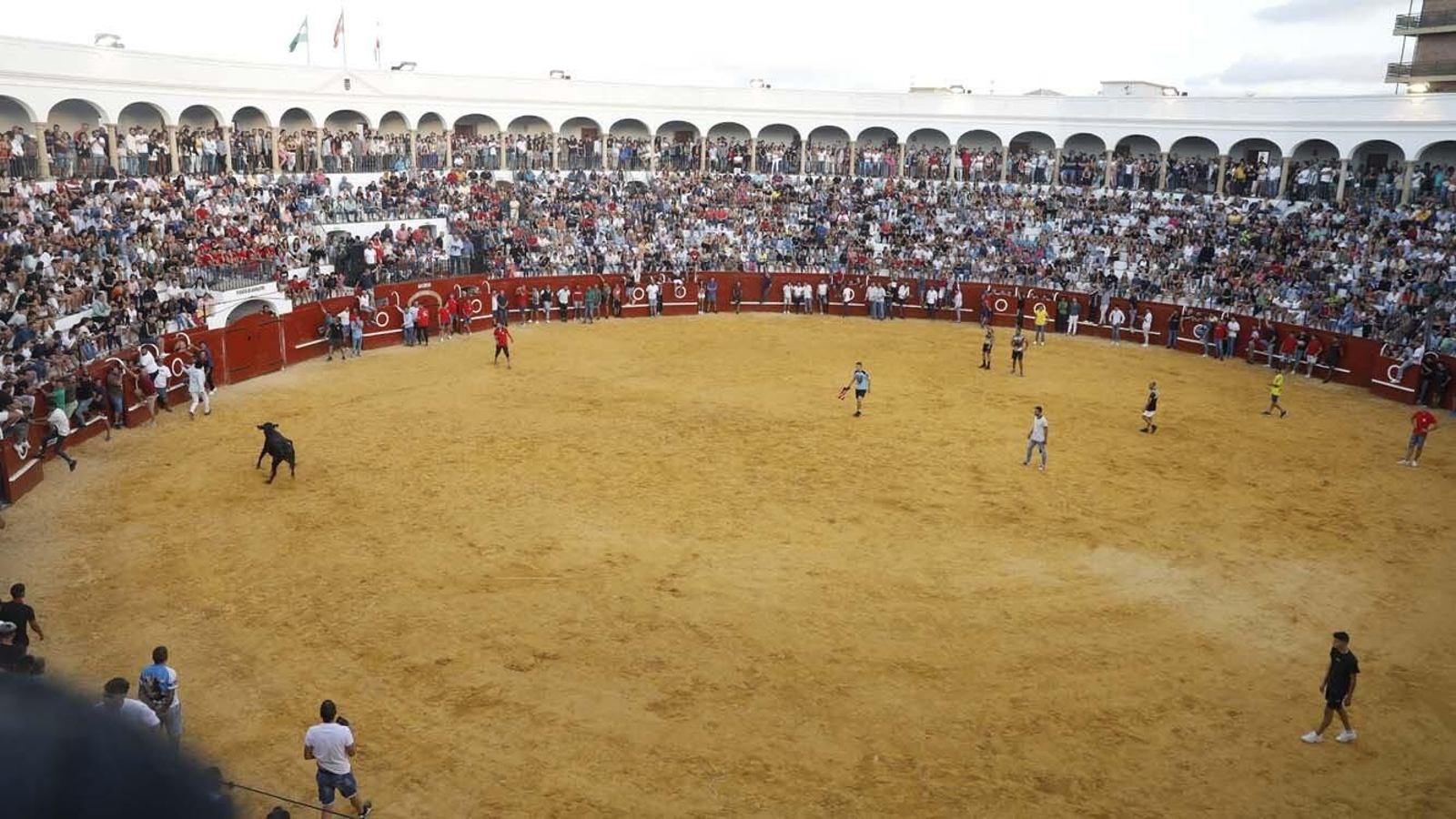 Las fotos del Toro del Aguardiente de San Roque