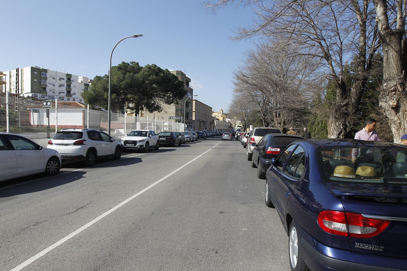 Fotogalería Día de la Naranja en Gádor