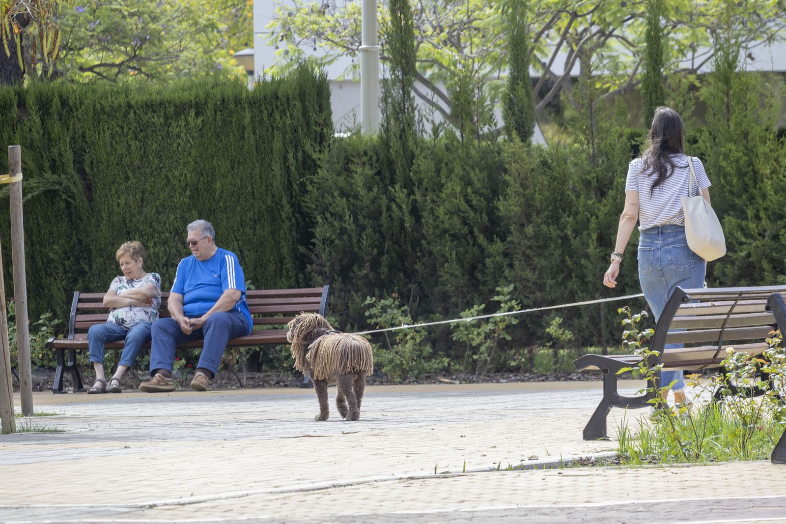 Imágenes del lunes 12 de junio en Huelva