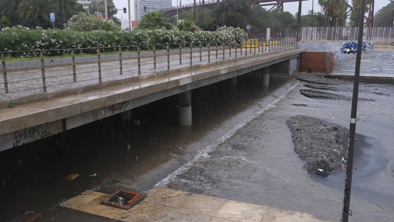 Los almerienses expresan su alegría por la lluvia
