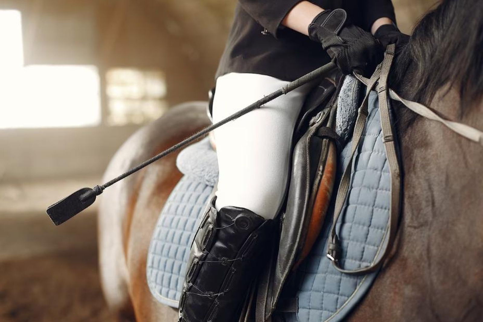 Las mejores monturas vaqueras las encuentras en Guarnicionería Los Nietos