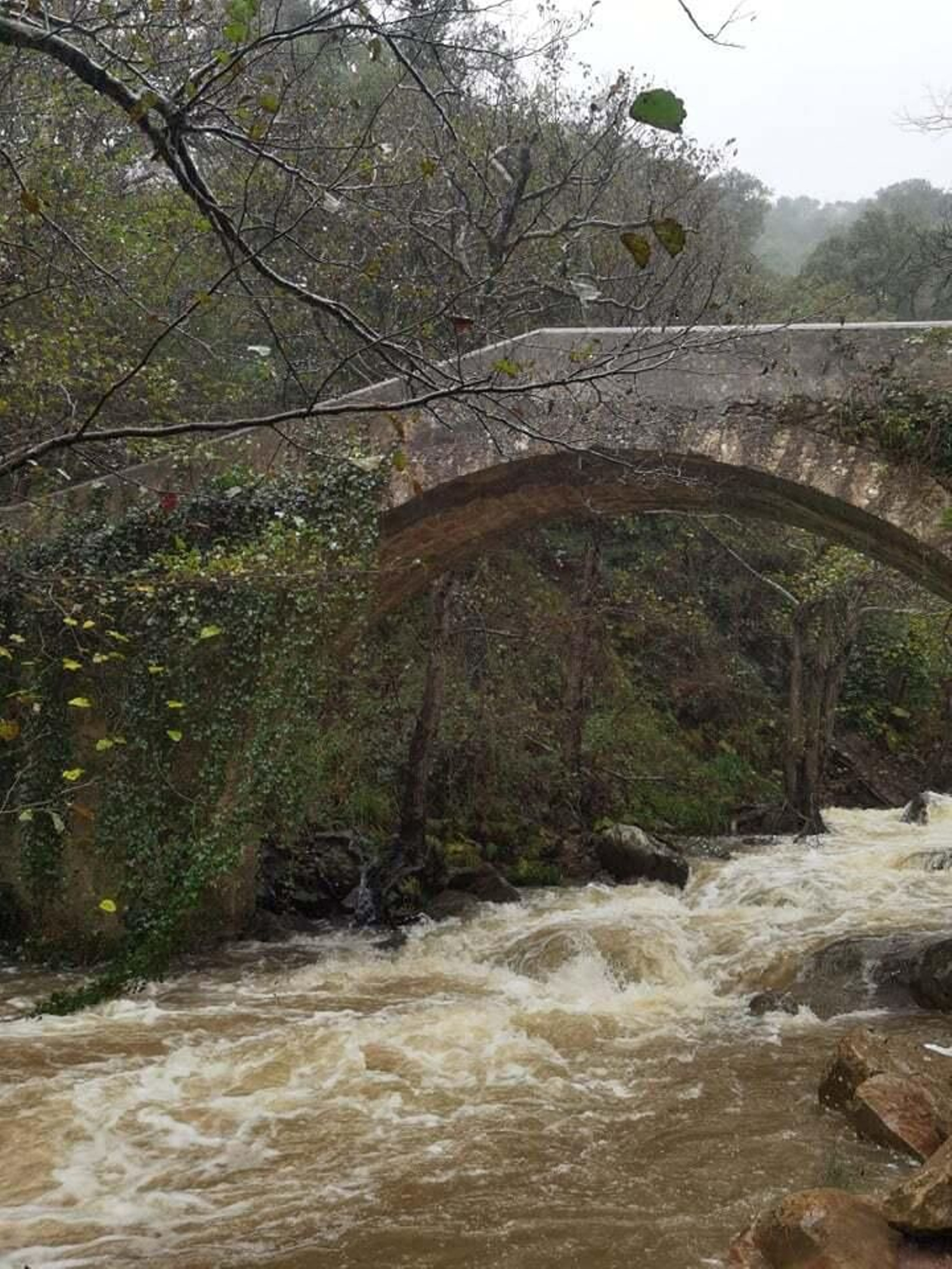 El río de la Miel, tras las últimas lluvias.