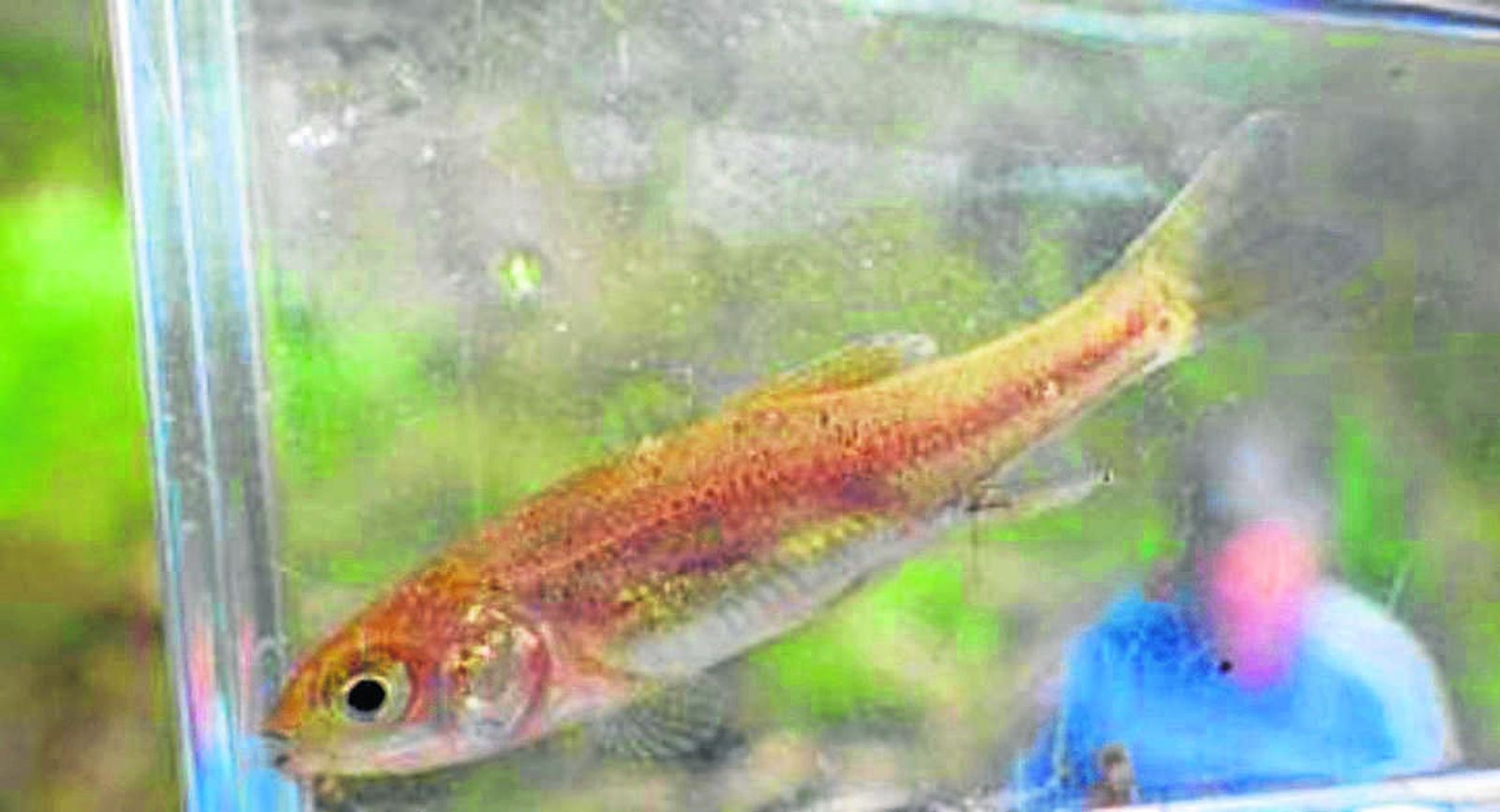 18056730_296260510803984_478297611474992114_(66762715)