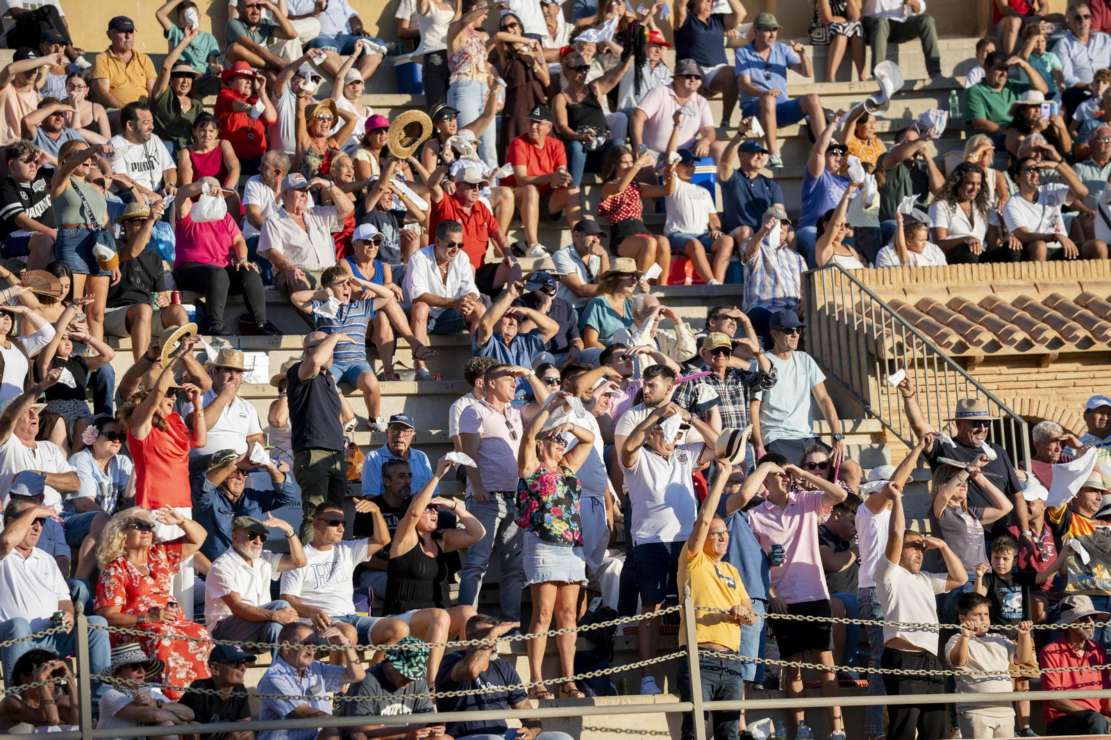 Las imágenes de los toros en Vera